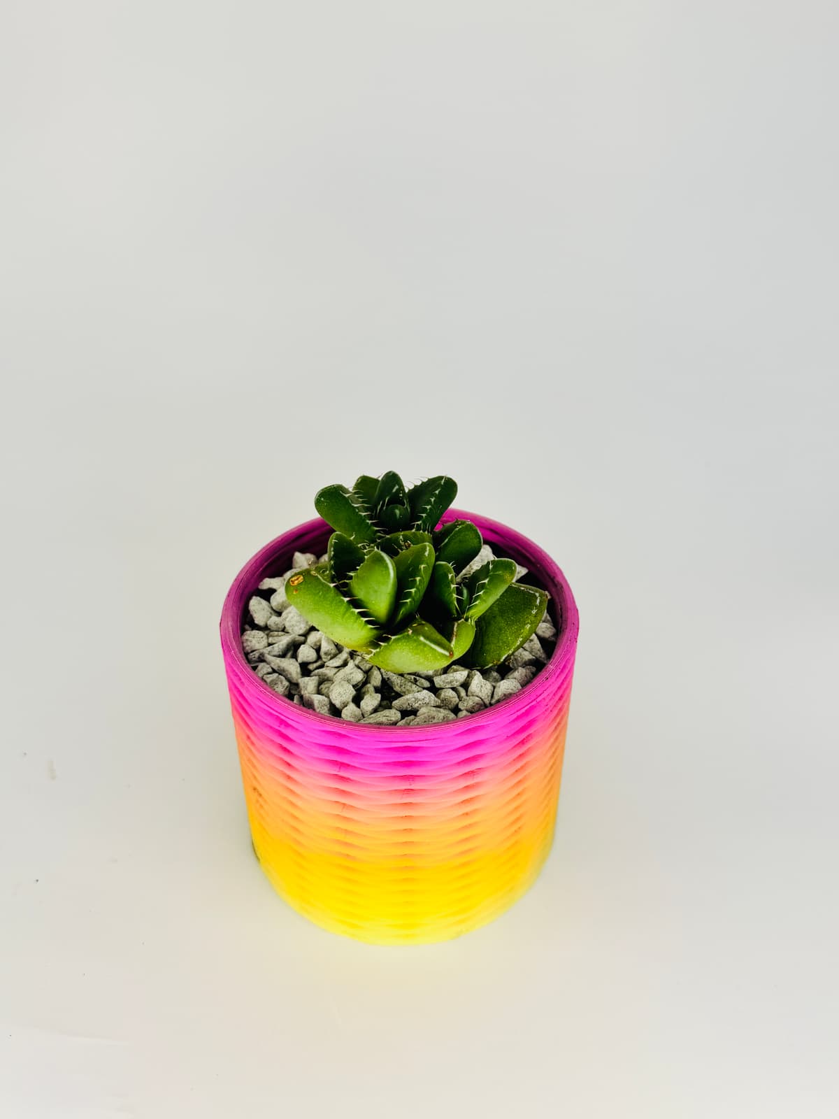 🪴 Double Spiral Pot – 3D Printable Planter
