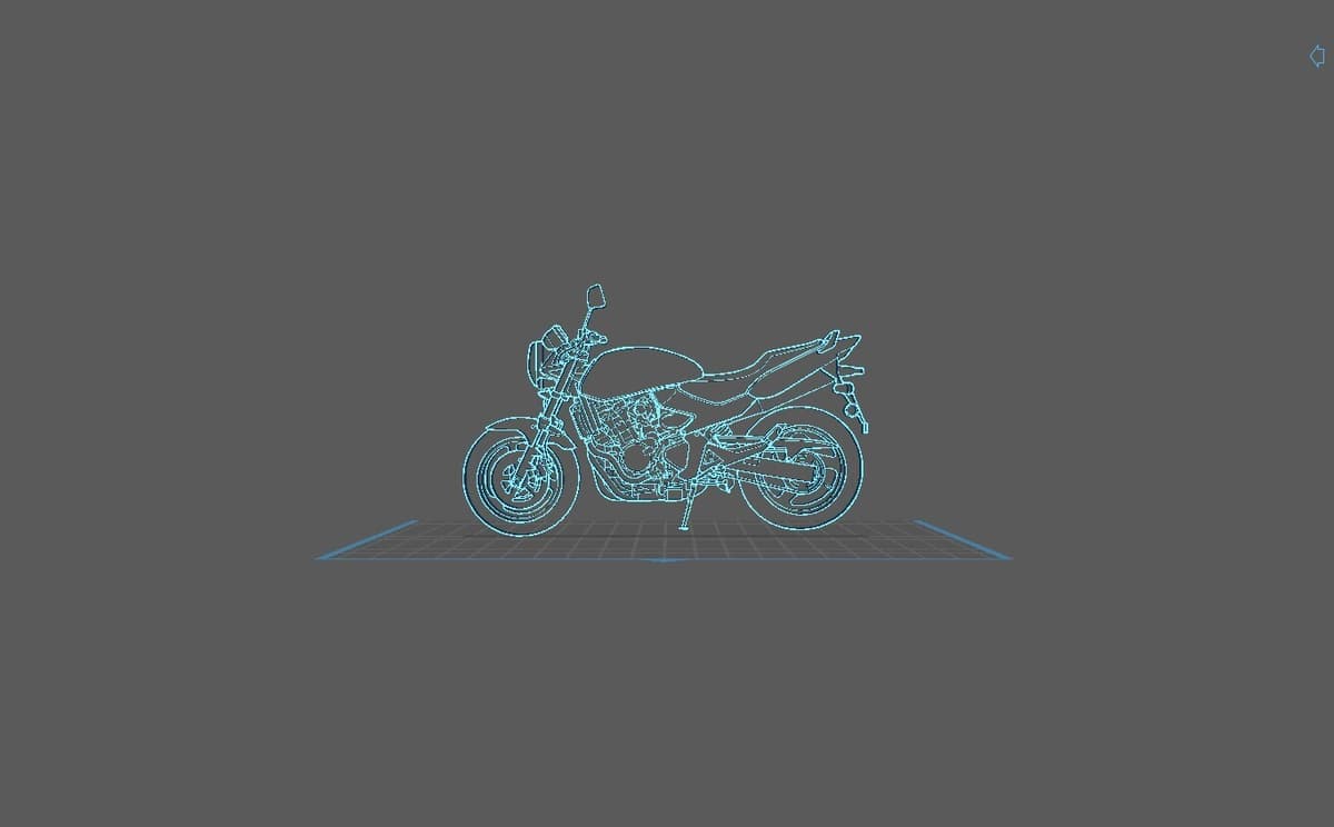 Honda - CBF 600 Hornet 2004 Wall Art