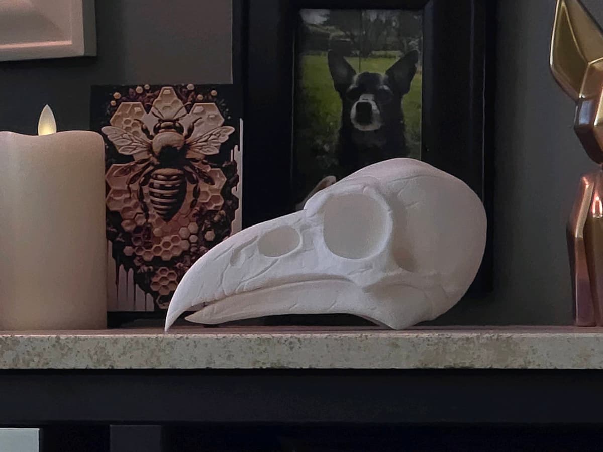 Raven Skull