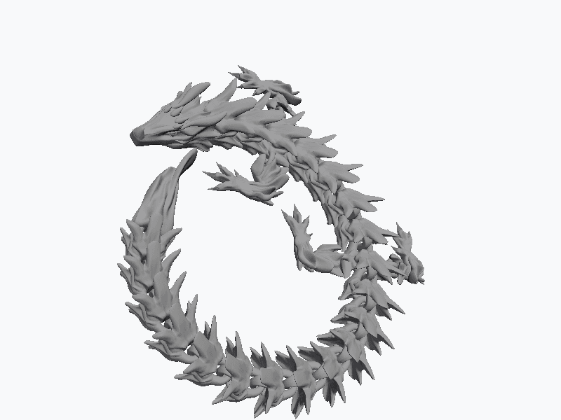 Flexible Dragon print.