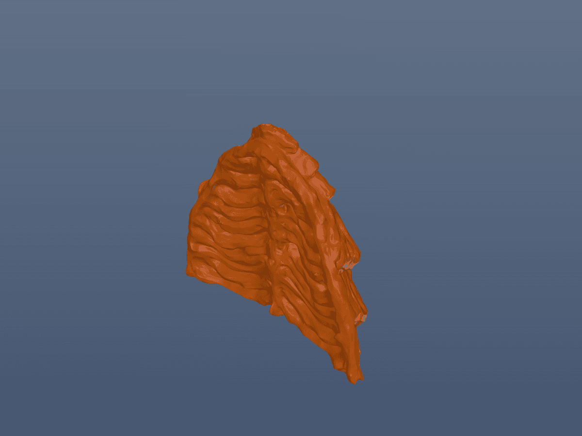 Wargames Terrain Bio Walls