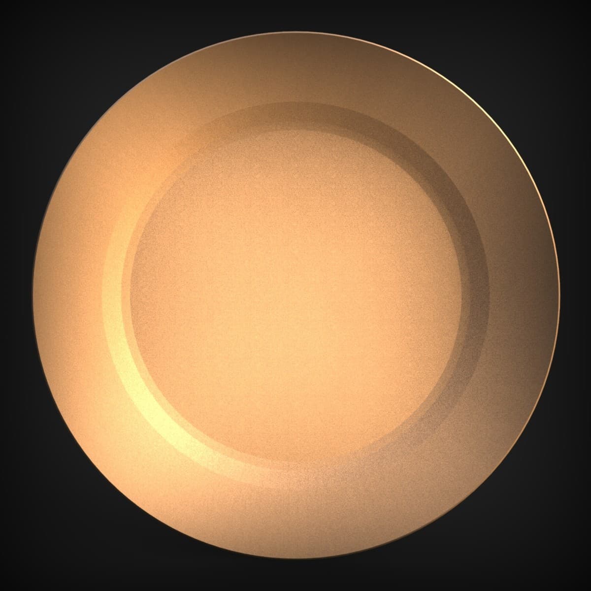 Wide-Rim Minimalist Serving Dish
