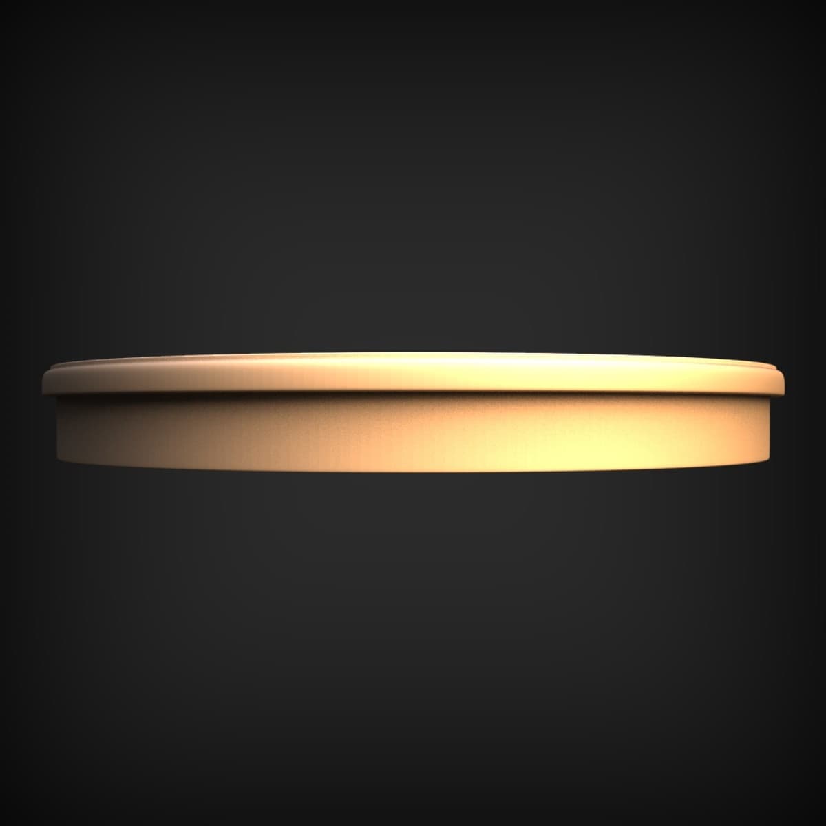 Plain Round Disc Blank