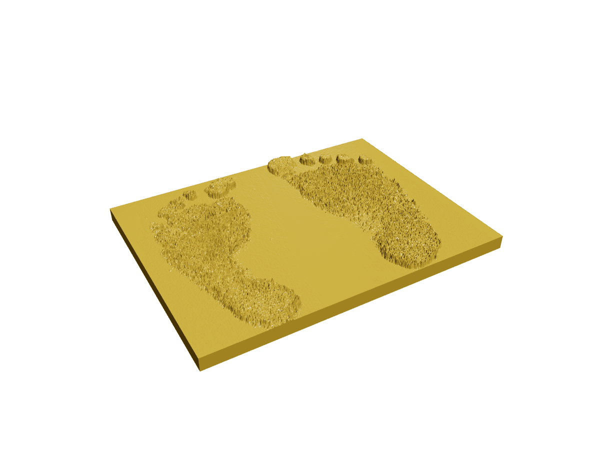 Footprint Keychain