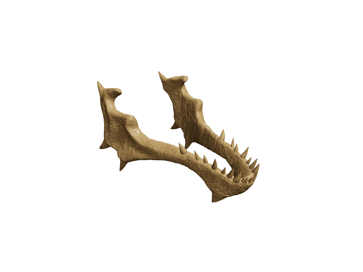 Dragon Lamp