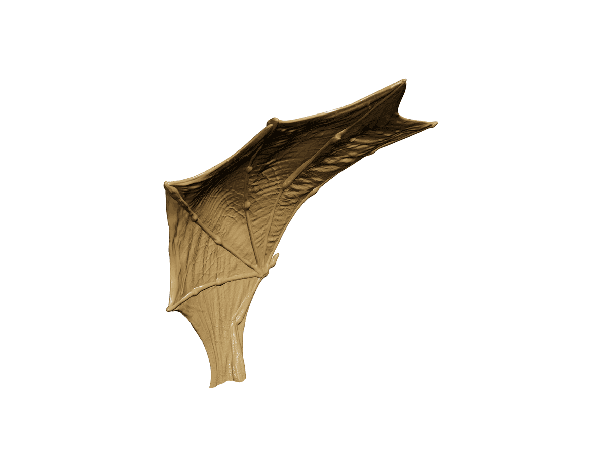 Wing R Lamp