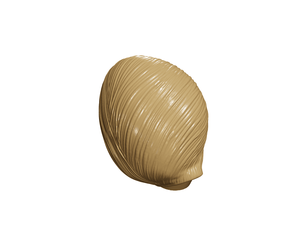 Snail Lamp