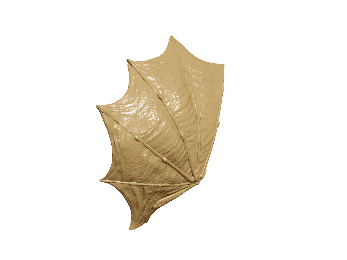 Wing L Lamp
