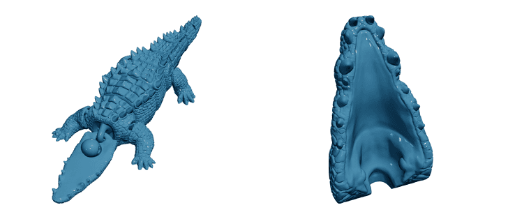 Crocodile — Articulated Flexi