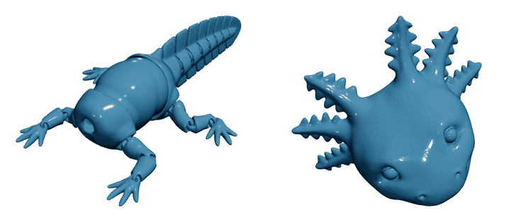 Realistic Axolotl — Articulated Flexi